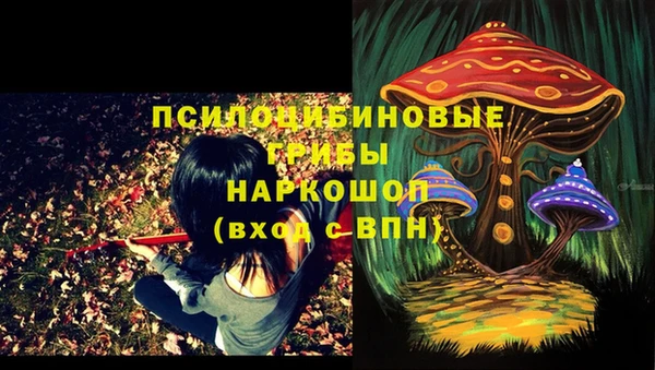 ALPHA-PVP Медвежьегорск