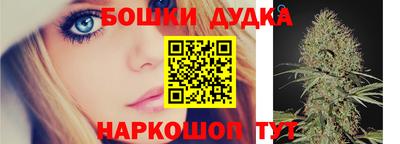 PSILOCYBIN Будённовск