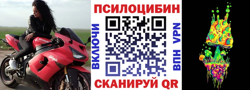 Галлюциногенные грибы Psilocybe Ялуторовск