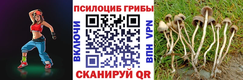 гидра как войти  где купить наркоту  Ялуторовск  Псилоцибиновые грибы Magic Shrooms 